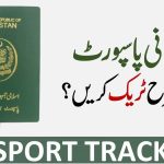 شناختی کارڈ کے ذریعے پاکستانی پاسپورٹ کی حیثیت چیک کریں